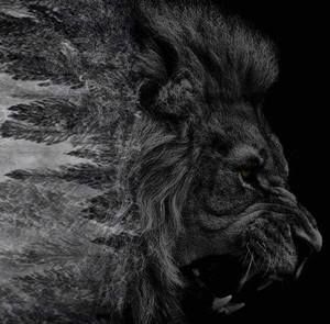 Meet your Posher, Leois